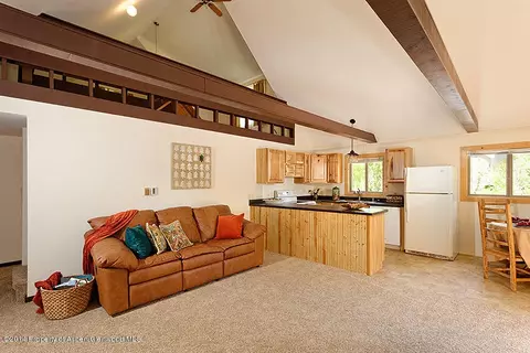 116 Tucker Lane Basalt Co 81621 Ln, Basalt, CO 81621 photo 7