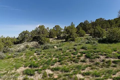 72 Sagewood Court Basalt Co 81621 Ct, Basalt, CO 81621 photo 15