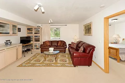 72 Sagewood Court Basalt Co 81621 Ct, Basalt, CO 81621 photo 8