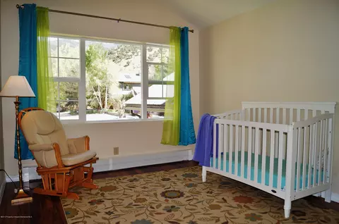 806 Kestrel Court Basalt Co 81621 Ct, Basalt, CO 81621 photo 12