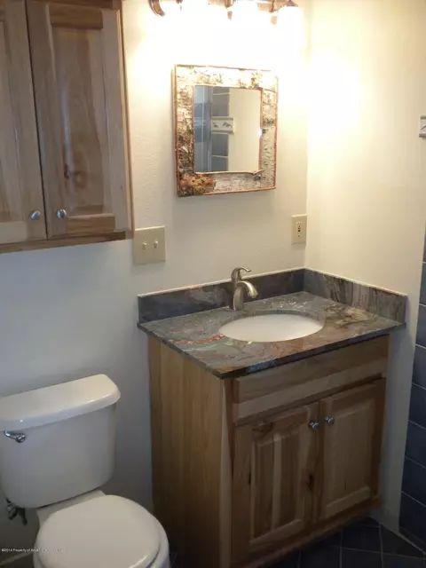 1162 Mclaughlin Lane Basalt Co 81621 Ln, Basalt, CO 81621 photo 11
