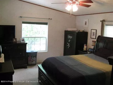 2007 Chickadee Court Silt Co 81652 Ct, Silt, CO 81652 photo 4