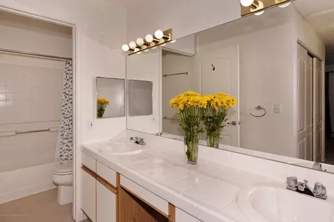 9202 Elk Lane Basalt Co 81621, Basalt, CO 81621 photo 10
