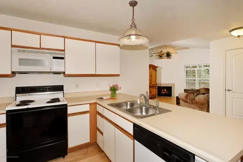 9202 Elk Lane Basalt Co 81621, Basalt, CO 81621 photo 3