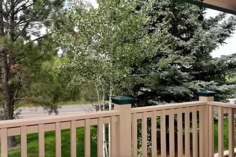9202 Elk Lane Basalt Co 81621, Basalt, CO 81621 photo 14