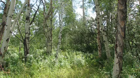 542 Dipper Lane Craig Co 81625 Ln, Craig, CO 81625 photo 1
