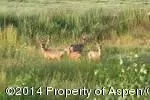 1855 6 Road Mack Co 81525 Rd, Mack, CO 81525 photo 3