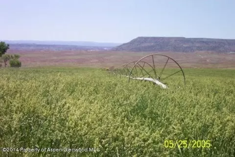 1855 6 Road Mack Co 81525 Rd, Mack, CO 81525 photo 16