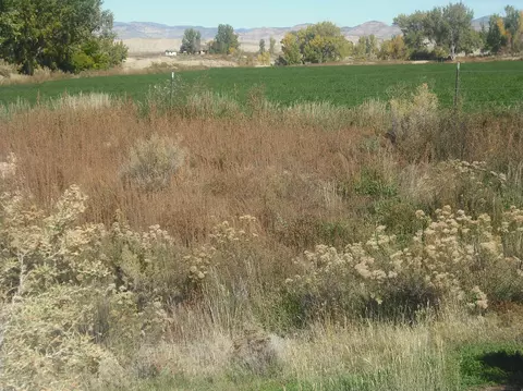 1855 6 Road Mack Co 81525 Rd, Mack, CO 81525 photo 13