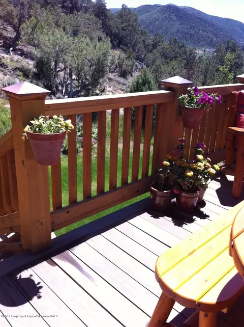 356 Hillcrest Drive Basalt Co 81621 Dr, Basalt, CO 81621 photo 23