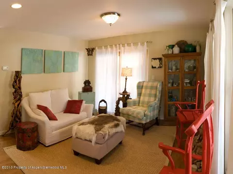 308 Red Tail Drive Basalt Co 81621 Dr, Basalt, CO 81621 photo 12