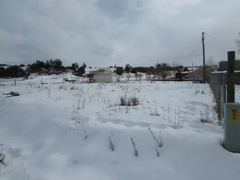 904 Spring Street Collbran Co 81624 St, Collbran, CO 81624 photo 3