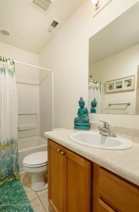 110 Lakeside Court Basalt Co 81621 Ct, Basalt, CO 81621 photo 8