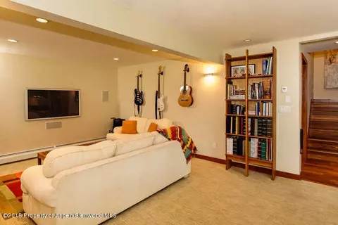 205 Columbine Court Basalt Co 81621 Ct, Basalt, CO 81621 photo 19