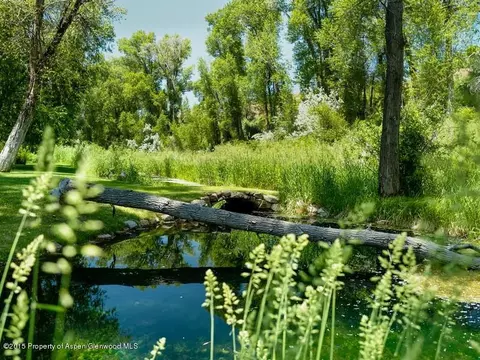 263 Lewis Lane Basalt Co 81621 Ln, Basalt, CO 81621 photo 30