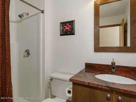 50 Silverado Drive Basalt Co 81621 Dr, Basalt, CO 81621 photo 9