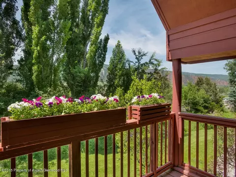 50 Silverado Drive Basalt Co 81621 Dr, Basalt, CO 81621 photo 14