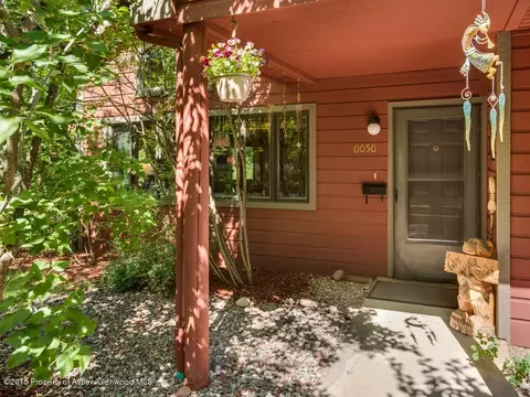50 Silverado Drive Basalt Co 81621 Dr, Basalt, CO 81621 photo 11