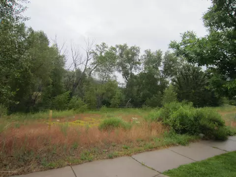 417 Allison Lane Basalt Co 81621 Ln, Basalt, CO 81621 photo 8