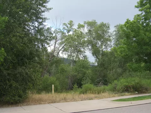 417 Allison Lane Basalt Co 81621 Ln, Basalt, CO 81621 photo 15