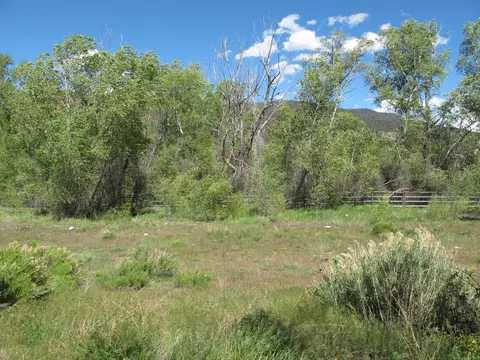 417 Allison Lane Basalt Co 81621 Ln, Basalt, CO 81621 photo 3