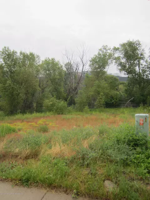 417 Allison Lane Basalt Co 81621 Ln, Basalt, CO 81621 photo 11