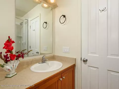 550 Evans Court Basalt Co 81621 Ct, Basalt, CO 81621 photo 10