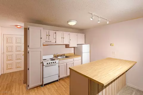 23284 Two Rivers Road 18a Basalt Co 81621 Rd #18A, Basalt, CO 81621 photo 2