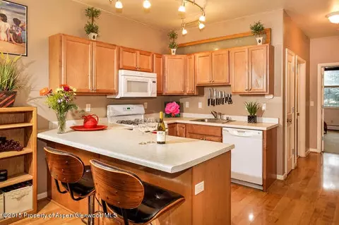 1320 E Valley Road Basalt Co 81621 Rd, Basalt, CO 81621 photo 9