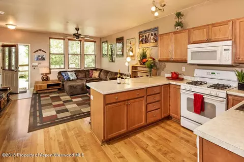 1320 E Valley Road Basalt Co 81621 Rd, Basalt, CO 81621 photo 8