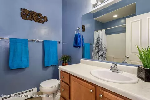1320 E Valley Road Basalt Co 81621 Rd, Basalt, CO 81621 photo 13