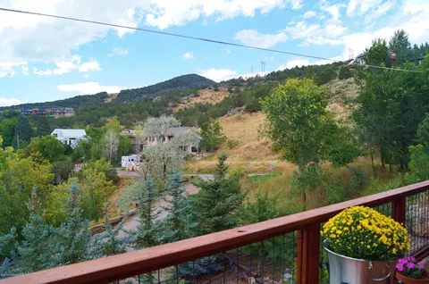 305 E Sopris Drive Basalt Co 81621 Dr, Basalt, CO 81621 photo 25