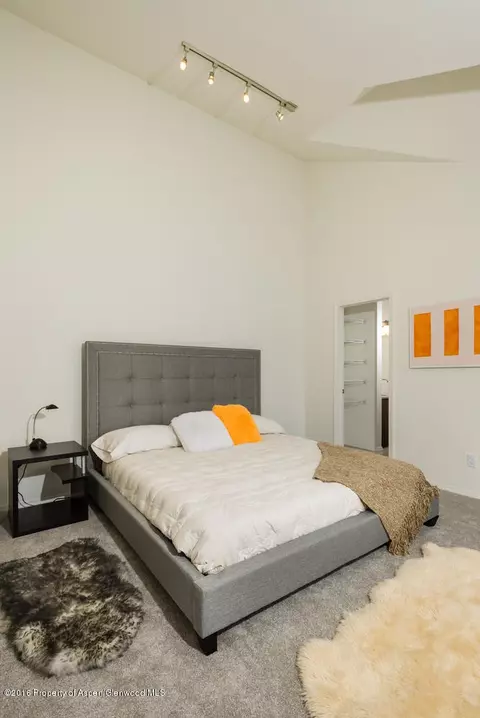 351 Wren Court 301 Basalt Co 81621 Ct #301, Basalt, CO 81621 photo 8