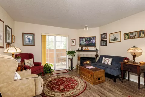 5101 Elk Lane Basalt Co 81621 Ln, Basalt, CO 81621 photo 3