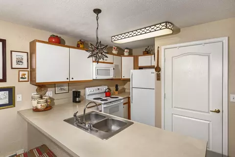 5101 Elk Lane Basalt Co 81621 Ln, Basalt, CO 81621 photo 5