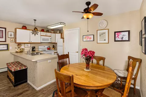 5101 Elk Lane Basalt Co 81621 Ln, Basalt, CO 81621 photo 4