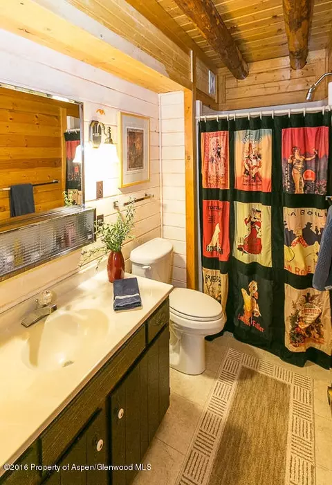 1221 Evergreen Redstone Co 81623, Redstone, CO 81623 photo 11