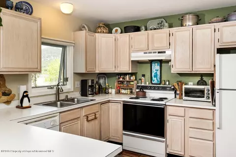 408 Elk Circle Basalt Co 81621 Cir, Basalt, CO 81621 photo 11