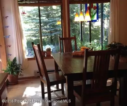 115 Alpine Street Marble Co 81623 St, Marble, CO 81623 photo 13