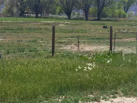 1992 K Road Fruita Co 81521, Fruita, CO 81521 photo 4