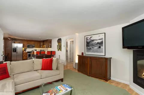 835 E Hyman Avenue E Aspen Co 81611 Ave #E, Aspen, CO 81611 photo 8