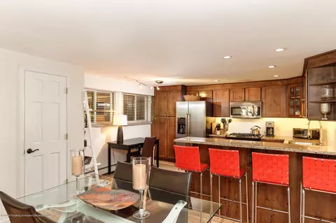 835 E Hyman Avenue E Aspen Co 81611 Ave #E, Aspen, CO 81611 photo 11