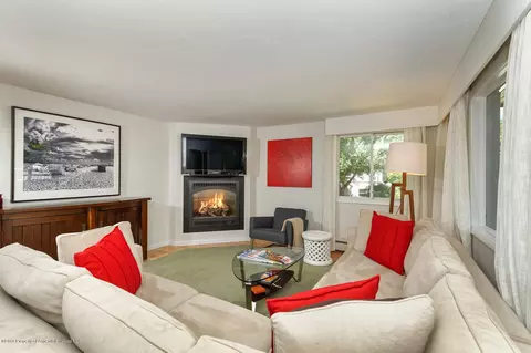 835 E Hyman Avenue E Aspen Co 81611 Ave #E, Aspen, CO 81611 photo 9