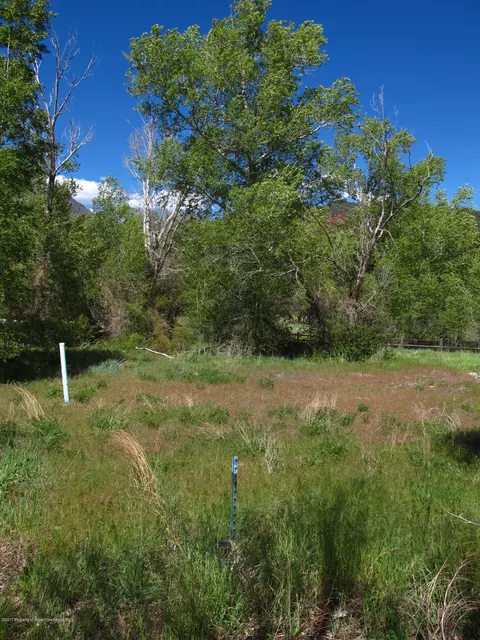 407 Allison Lane Basalt Co 81621 Ln, Basalt, CO 81621 photo 9