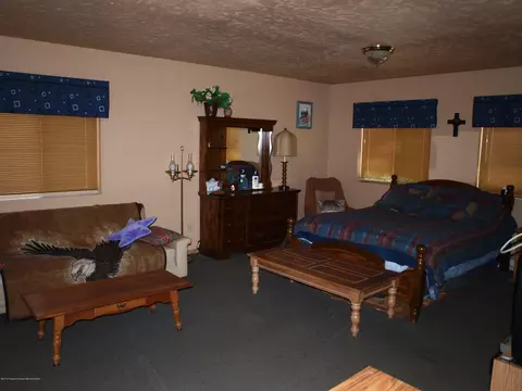 21387 College Drive Cedaredge Co 81413 Dr, Cedaredge, CO 81413 photo 9