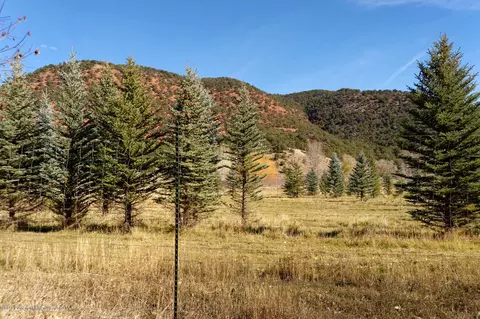804 Kestrel Court Basalt Co 81621 Ct, Basalt, CO 81621 photo 5