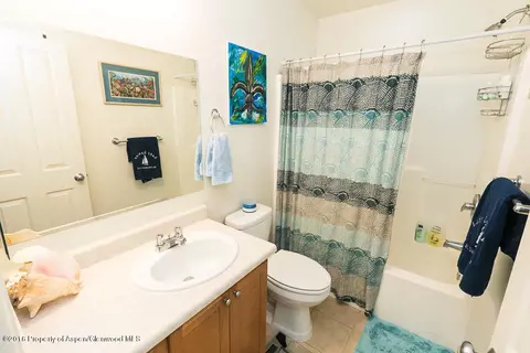 205 Lakeside Court Basalt Co 81621 Ct, Basalt, CO 81621 photo 13