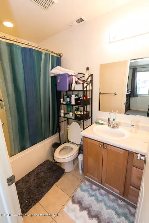 205 Lakeside Court Basalt Co 81621 Ct, Basalt, CO 81621 photo 14
