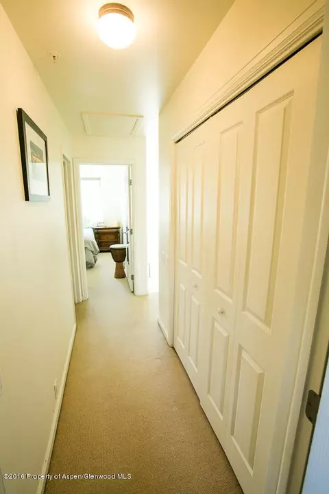 205 Lakeside Court Basalt Co 81621 Ct, Basalt, CO 81621 photo 15