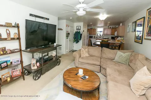 205 Lakeside Court Basalt Co 81621 Ct, Basalt, CO 81621 photo 9